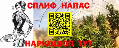СК Гусь-Хрустальный