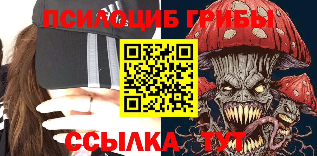 Галлюциногенные грибы GOLDEN TEACHER Надым