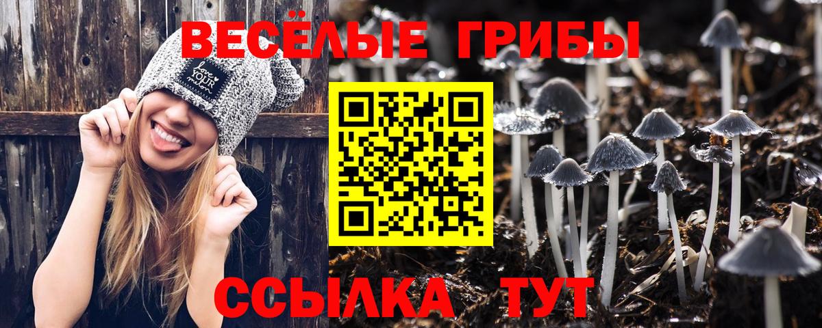 Надым  купить наркоту  Вход с VPN  Галлюциногенные грибы Psilocybine cubensis 