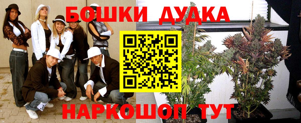 Бошки Шишки ГИДРОПОН Надым